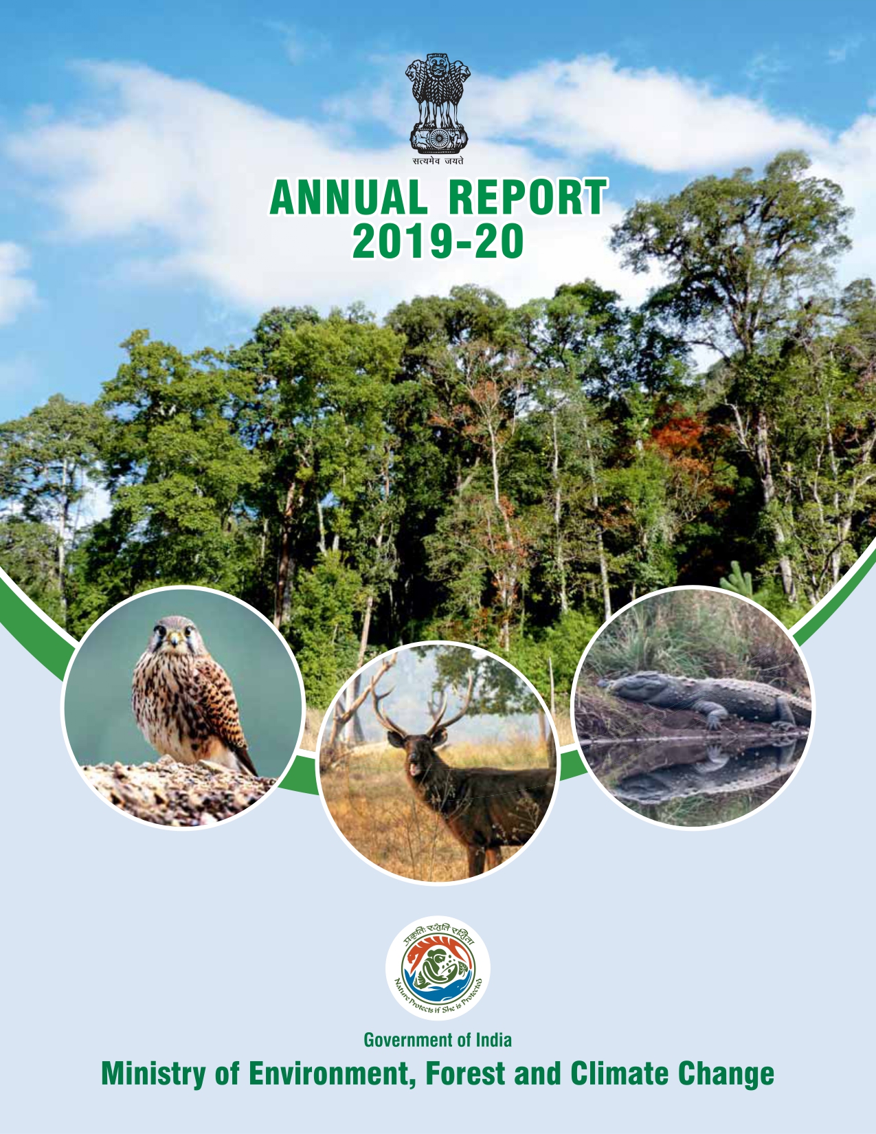 Image of cover of Annual Report 2019-2020