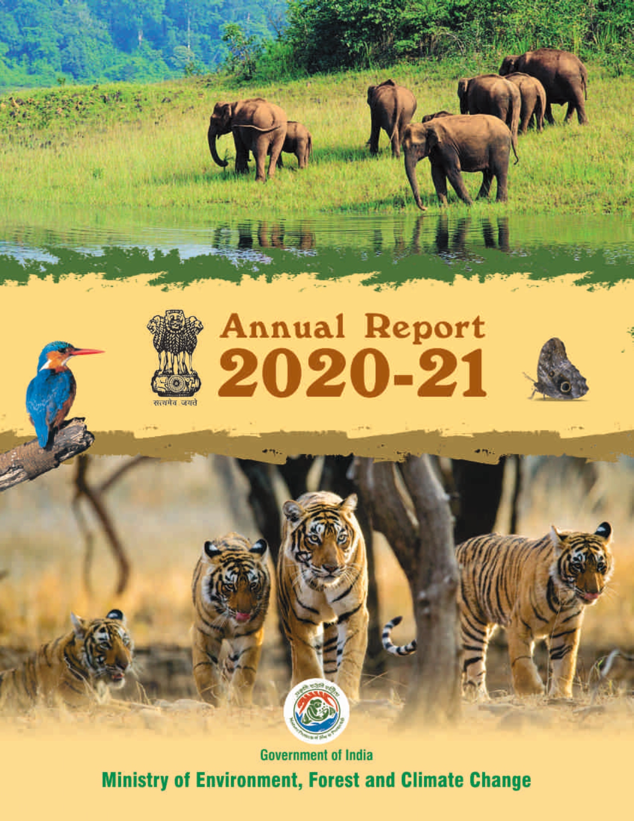 Image of Annual Report