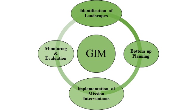 Image of GIM