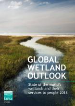 Image of Global Wetland Outlook
