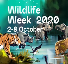 Image of Wildlife Week 2020