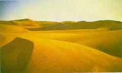 Image of  Sand dunes, Rajasthan
